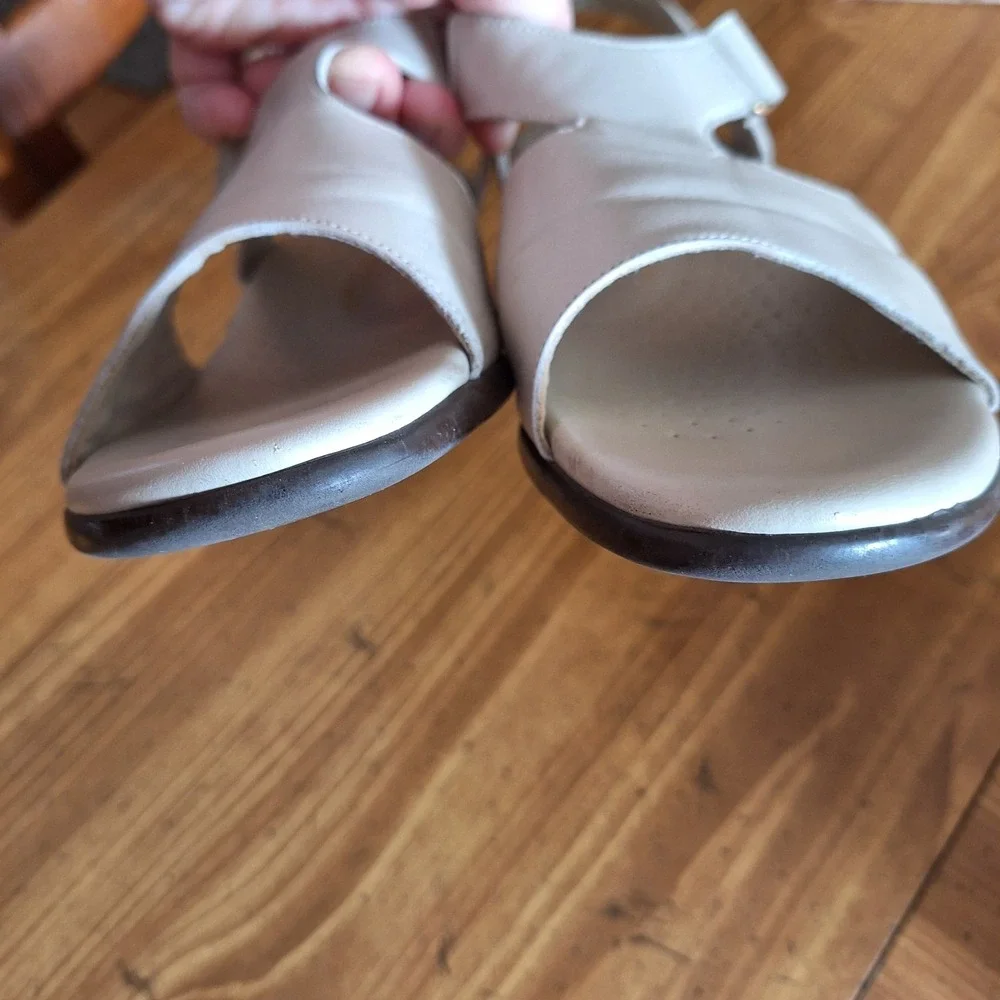 SAS womens suntimer